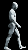 Muybridge