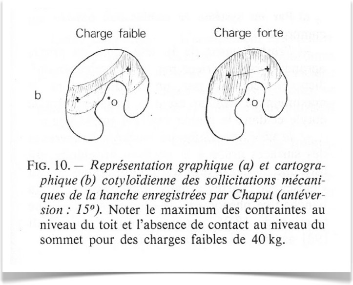 Sans titre