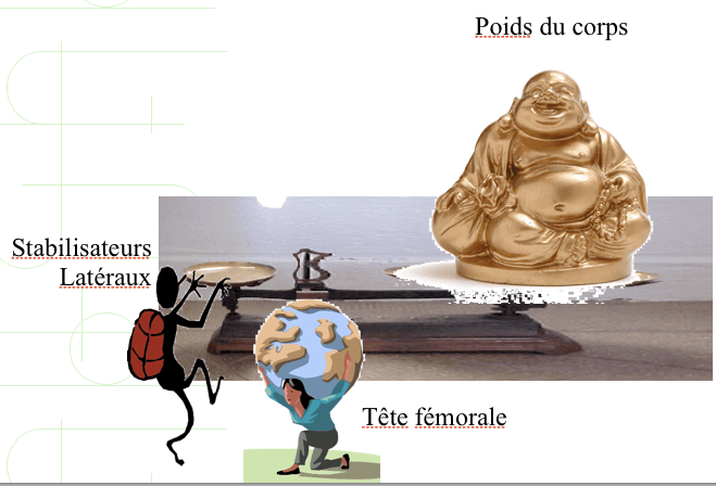 Sans titre.png