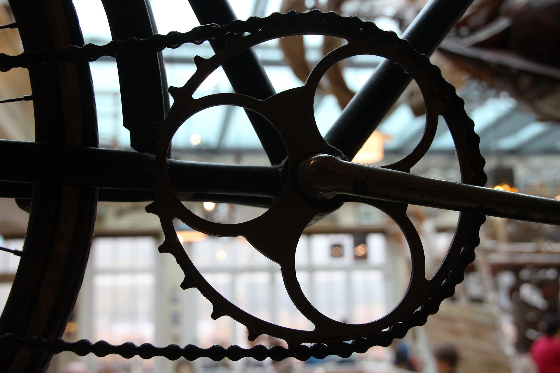 close up of a gear
