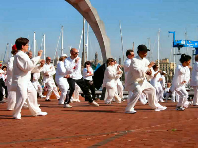 Taichi0