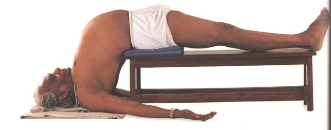 Yogi du Sud