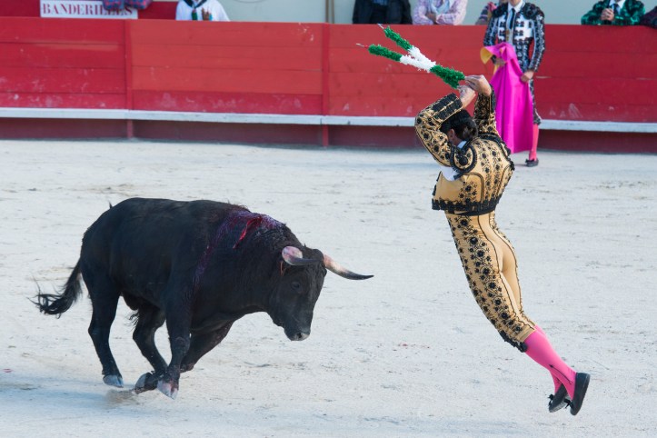 corrida-ales-2013-021