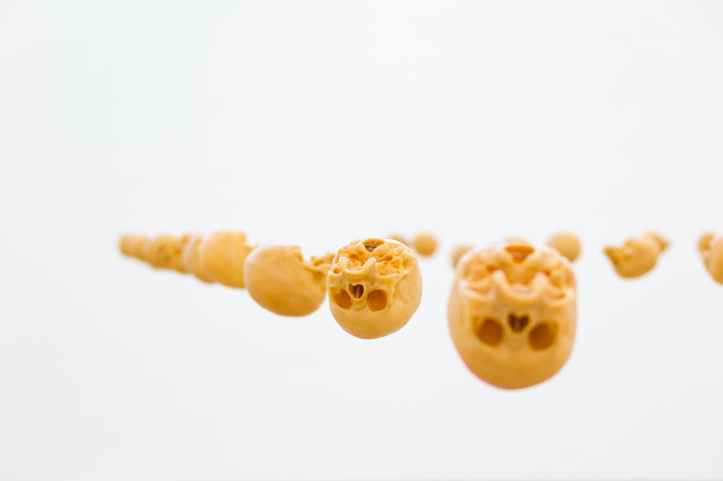 skulls in white background