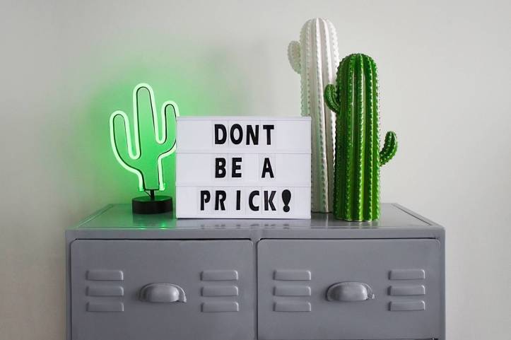 amusement bureau a domicile cabinet cactus