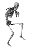 256-skelwalk4