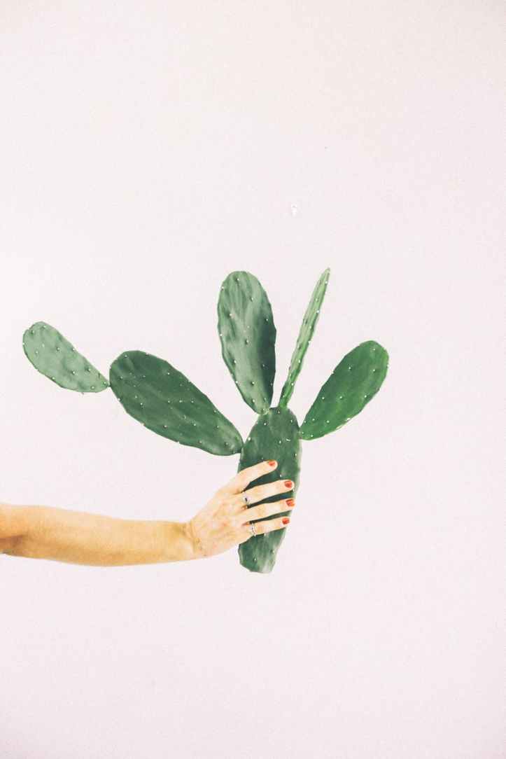 personne tenant une illustration de feuilles vertes